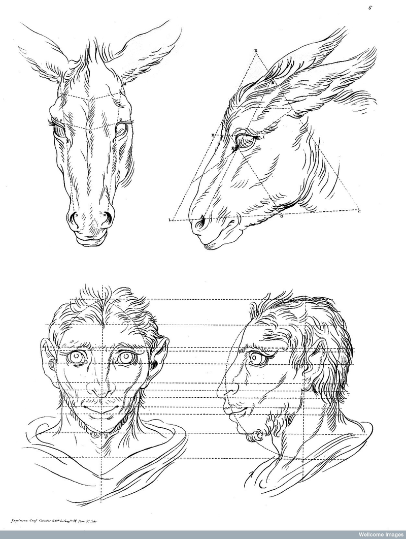 Illustration for article titled Baroque-Era Drawings Reveal Early Ideas About Evolution